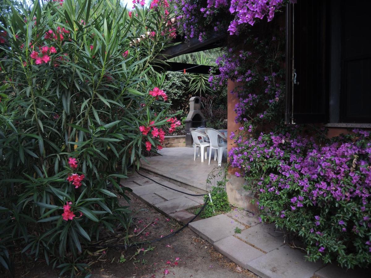 Maison de vacances dans un village de vacances à100 m. de la plage Badesi Exterior foto